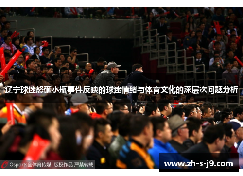 辽宁球迷怒砸水瓶事件反映的球迷情绪与体育文化的深层次问题分析