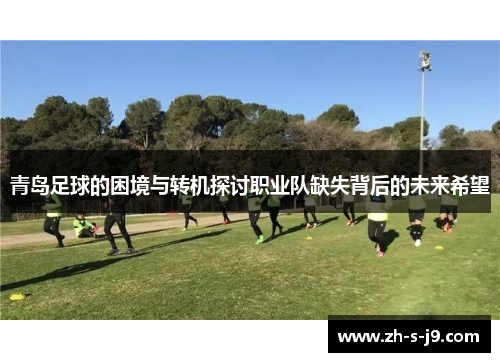 青岛足球的困境与转机探讨职业队缺失背后的未来希望